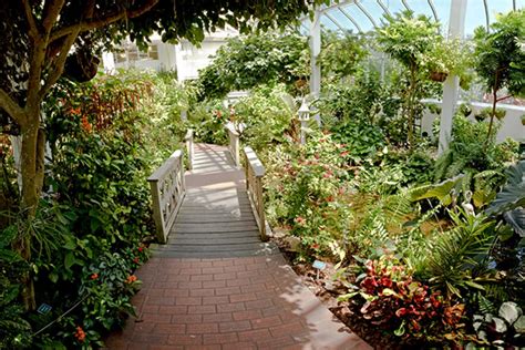 Key west butterfly and nature conservatory - | Check out 8 answers, plus see 13,052 reviews, articles, and 7,807 photos of Key West Butterfly and Nature Conservatory, ranked No.1 on Tripadvisor among 1,048 attractions in Key West. Key West All Key West Hotels 